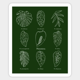 Monstera genus Magnet